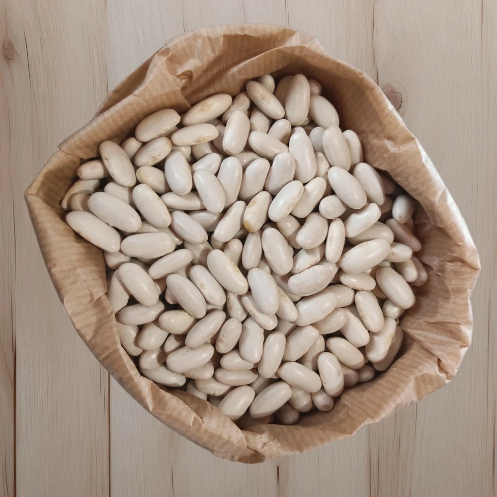 fagioli_cannellini_bio