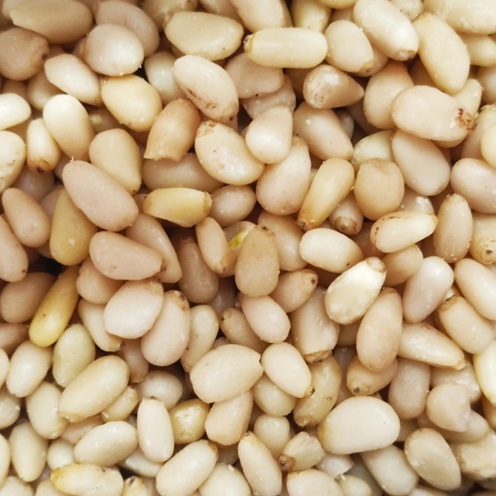 pinoli
