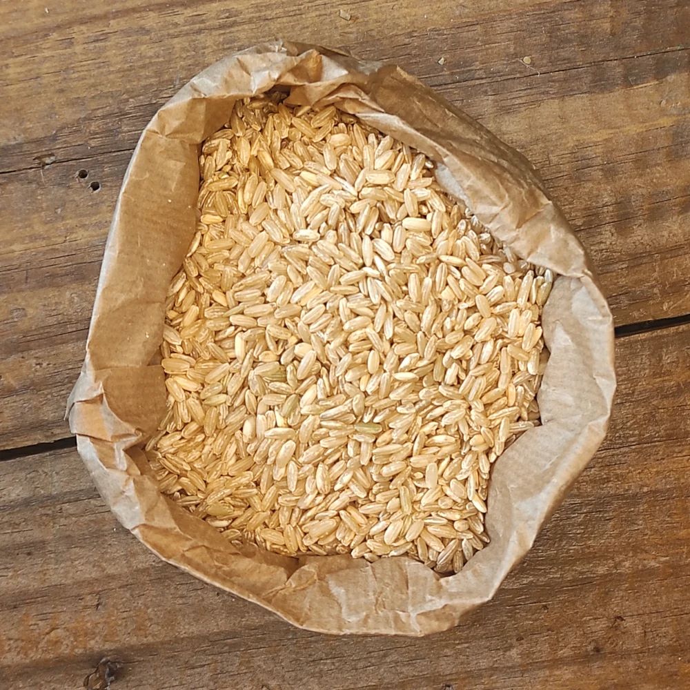 risoribesemintegrale